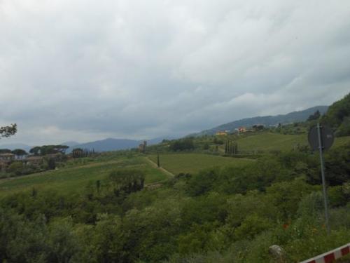 Lucca (62)