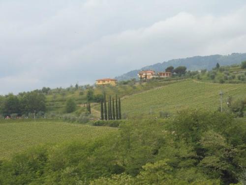 Lucca (63)