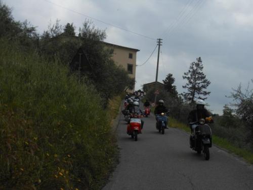 Lucca (64)