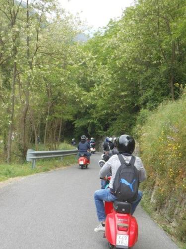 Lucca (65)
