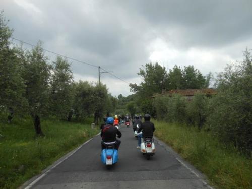 Lucca (81)