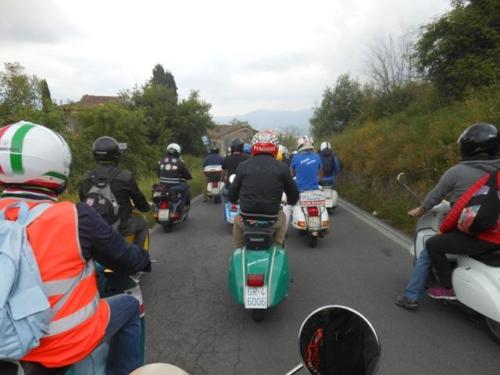 Lucca (83)