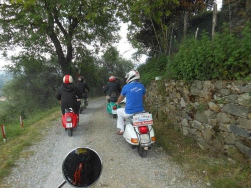 Lucca (87)