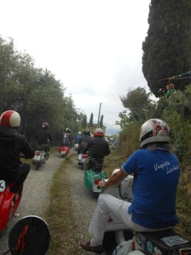 Lucca (88)