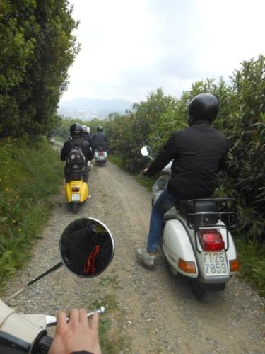 Lucca (92)
