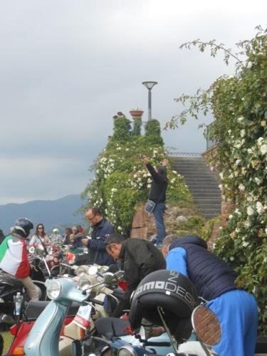 Lucca (96)