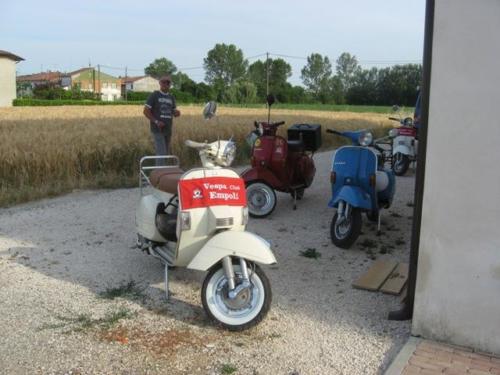 Mantova (11)