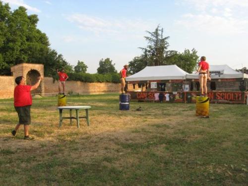 Mantova (19)