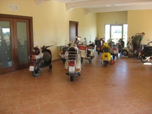 Mantova (34)
