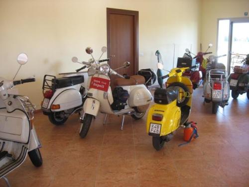 Mantova (36)