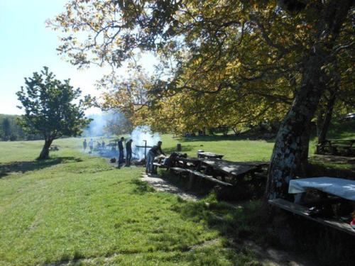 Grigliata (08)