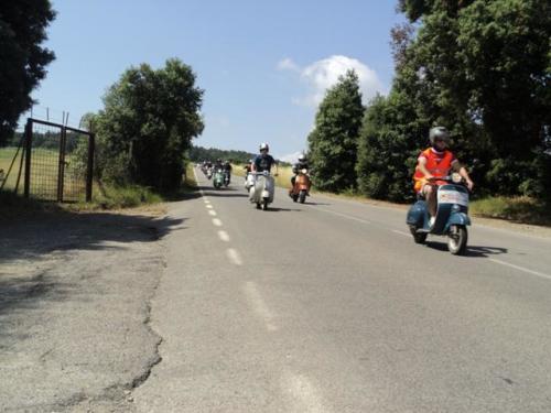Gambassi (51)