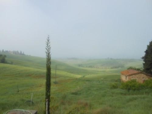 Valdorcia (28)