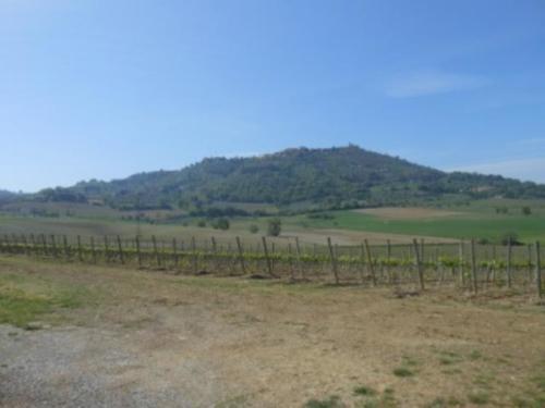 Valdorcia (35)