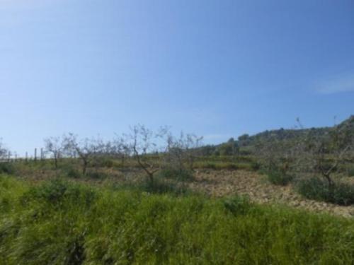 Valdorcia (37)