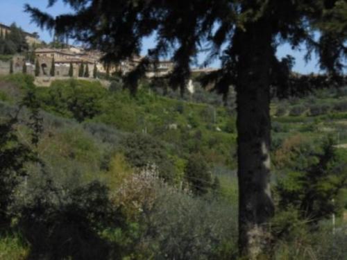 Valdorcia (42)