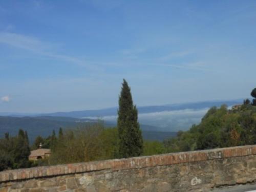 Valdorcia (46)