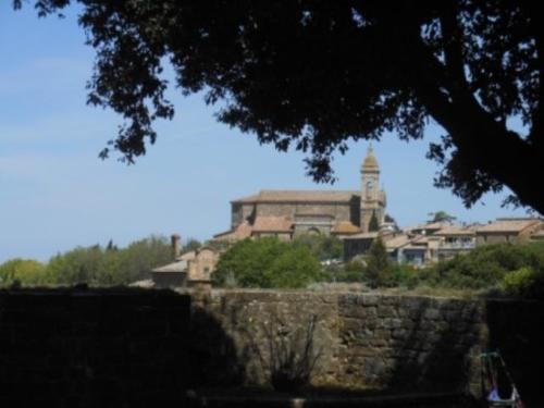 Valdorcia (54)