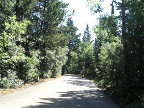 Poggibonsi (24)