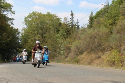 VespAudace4 04092016 (145)