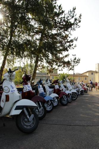 VespAudace4 04092016 (16)