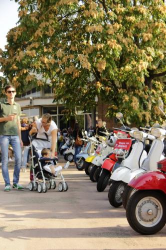 VespAudace4 04092016 (24)