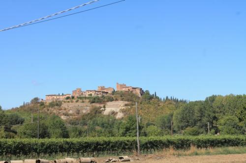 IMG 6896
