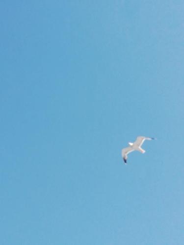 IMG-20190601-WA0000