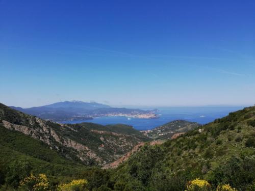 IMG-20190602-WA0015