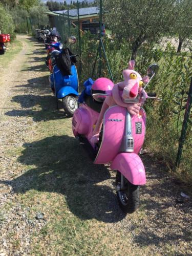 IMG-20190901-WA0018