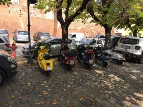 IMG-20191013-WA0003