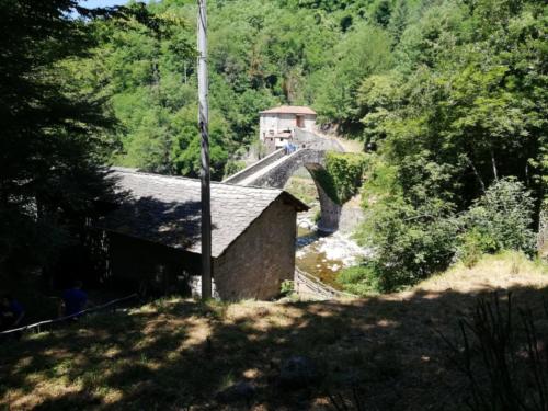 IMG-20190630-WA0037