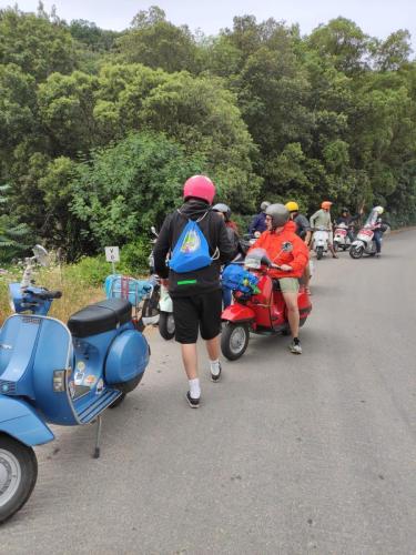IMG-20210620-WA0025