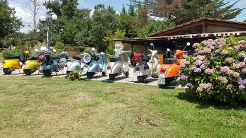 IMG-20210718-WA0014