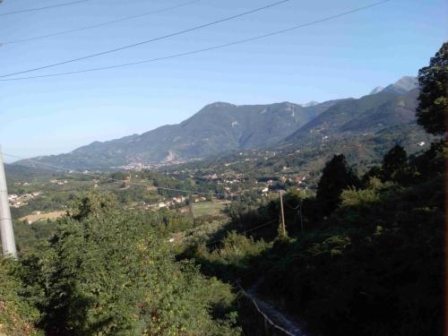IMG 20210812 091352
