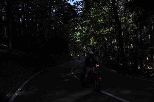 DSC 0080-2