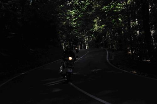 DSC 0081-2
