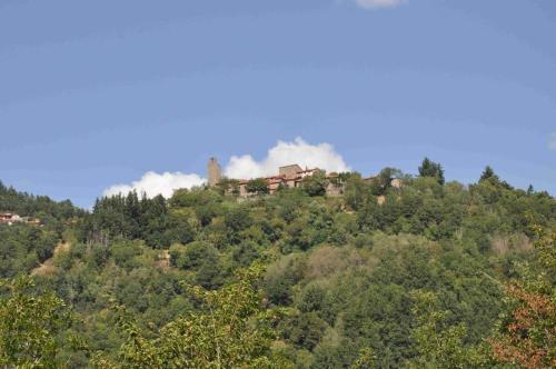 DSC 0098-3