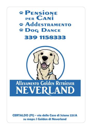 neverland